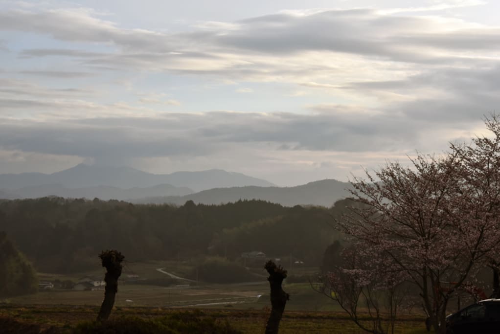 View from second floor - end of March
