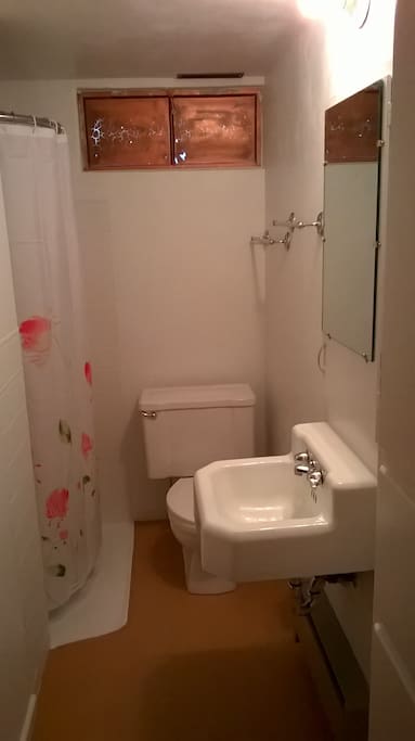 Shared bathroom with shower