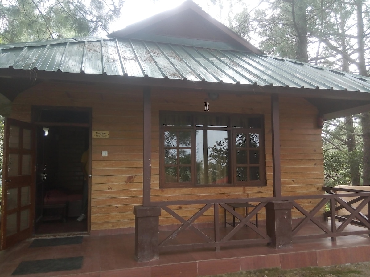 A charming wooden cabin features a sloped green roof, large windows, and a welcoming porch with a small table and chairs. The exterior is framed by lush trees, and the cabin's rustic design complements the surrounding natural beauty.