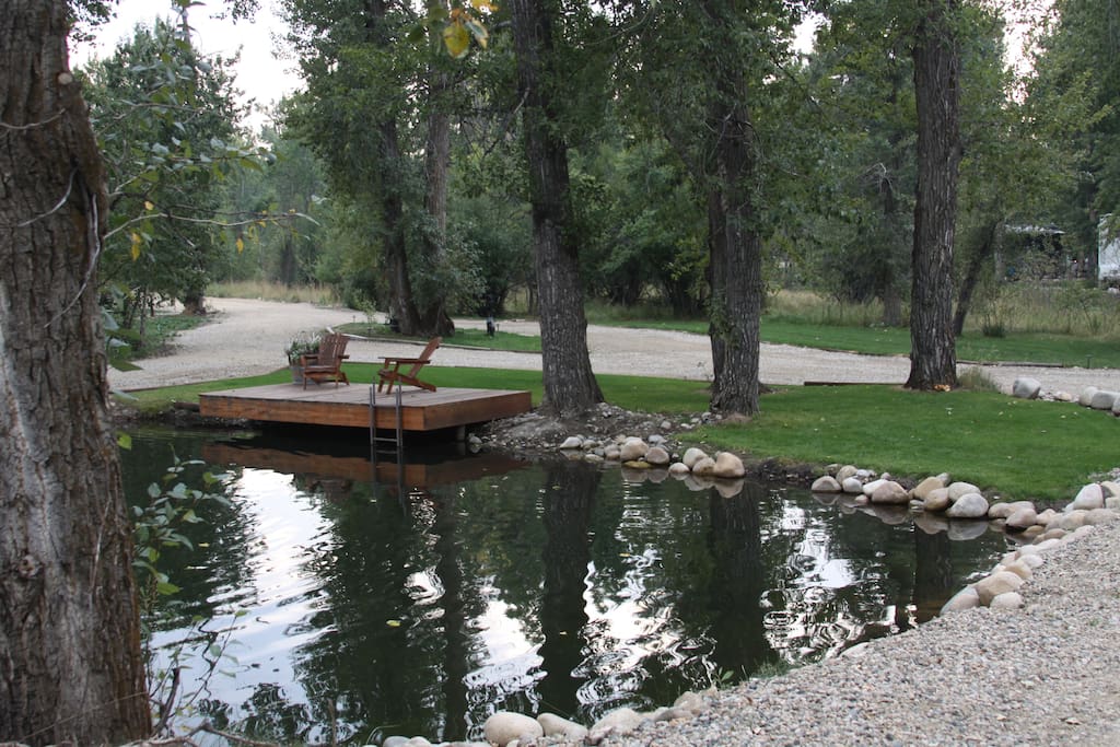 Pond