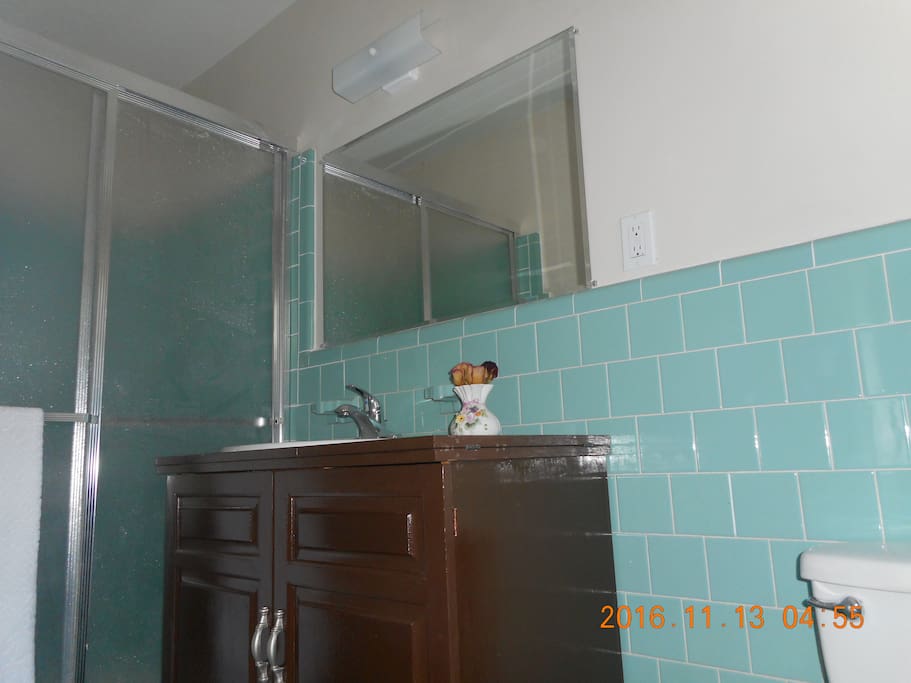 Master Bathroom with decent sized shower