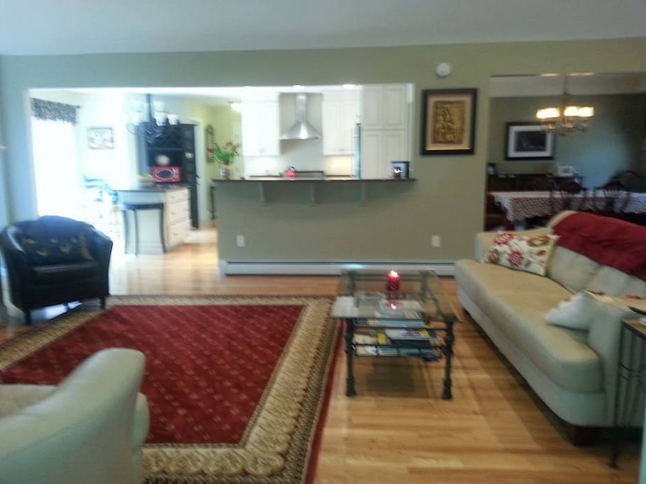 Spacious open concept living in bright sunshine- Double Sided Fireplace