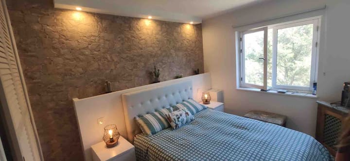 ٠٠/١٠-٠٠/١٣ جلسة