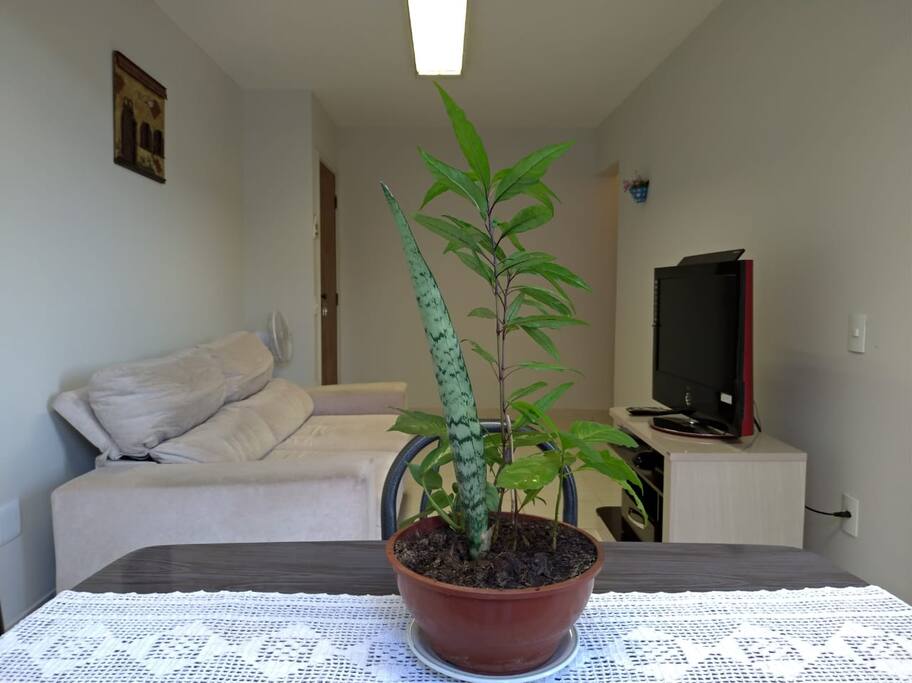 Sala vista da varanda 1