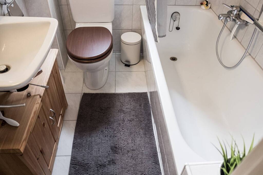 the one and only bathroom