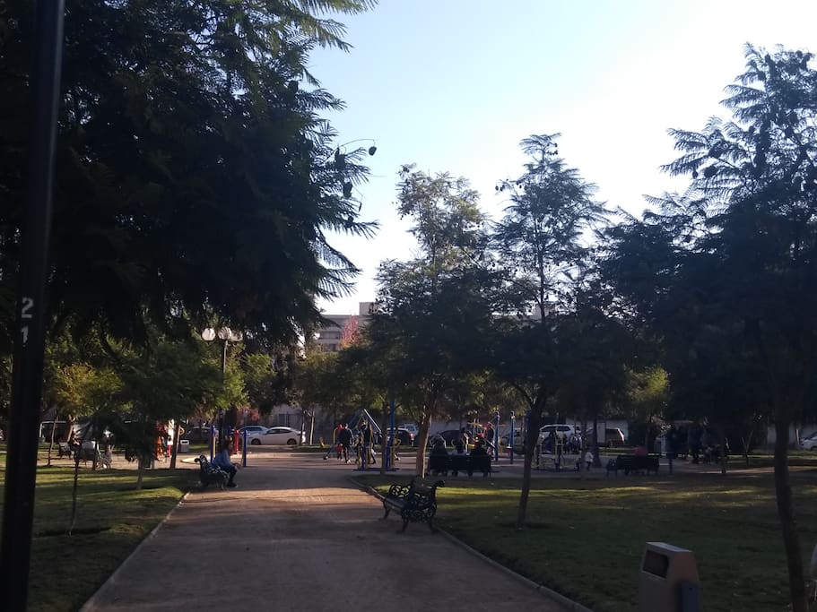 Plazas Las Lilas