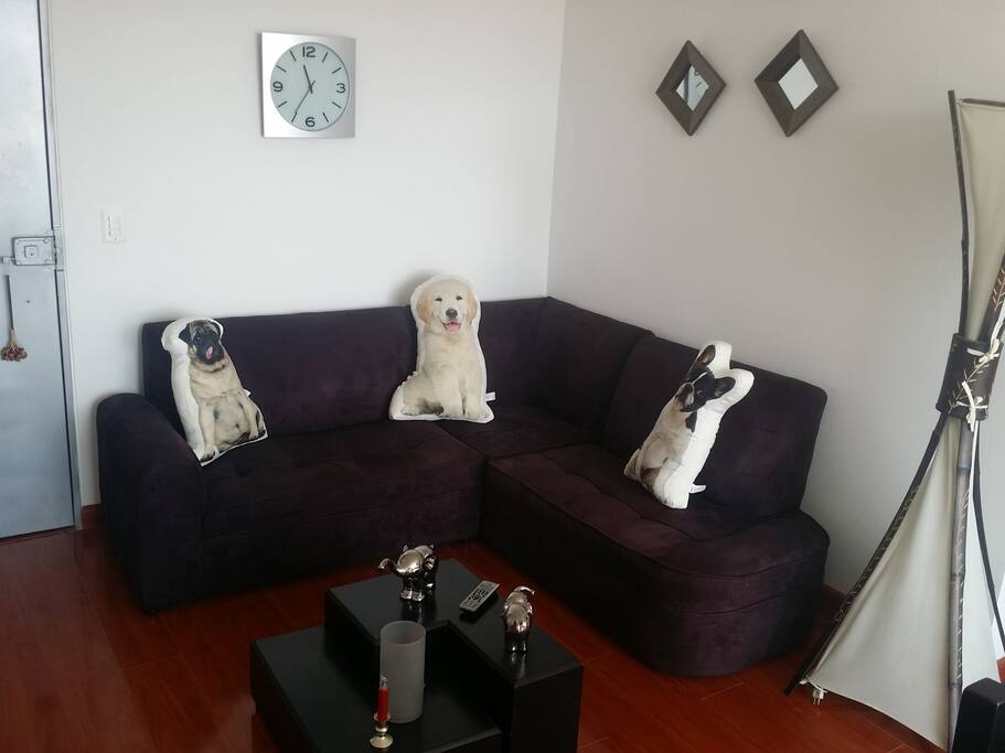 My pets :)