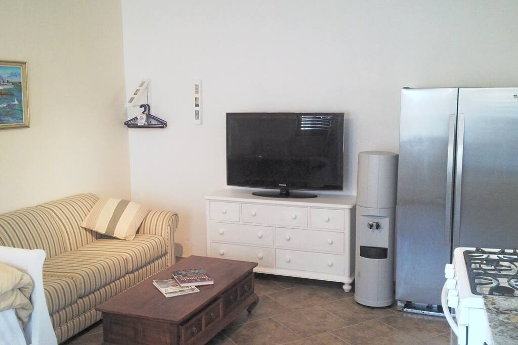 Pull out couch and 42" TV.