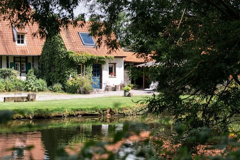 Annonce Airbnb populaire: Cottage and meadow à Archidiocèse De Lille