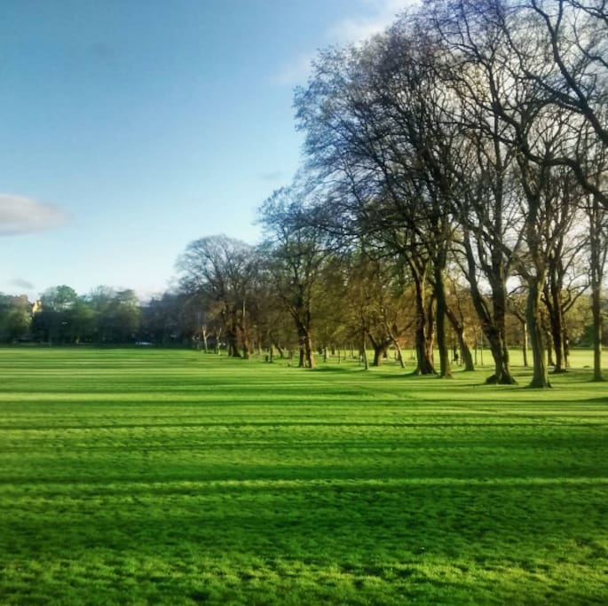 Just a couple of minutes from the Meadows, perfect for walks, picnics and football