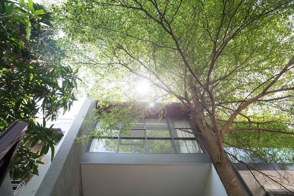 Bên ngoài nhà của chúng tôi