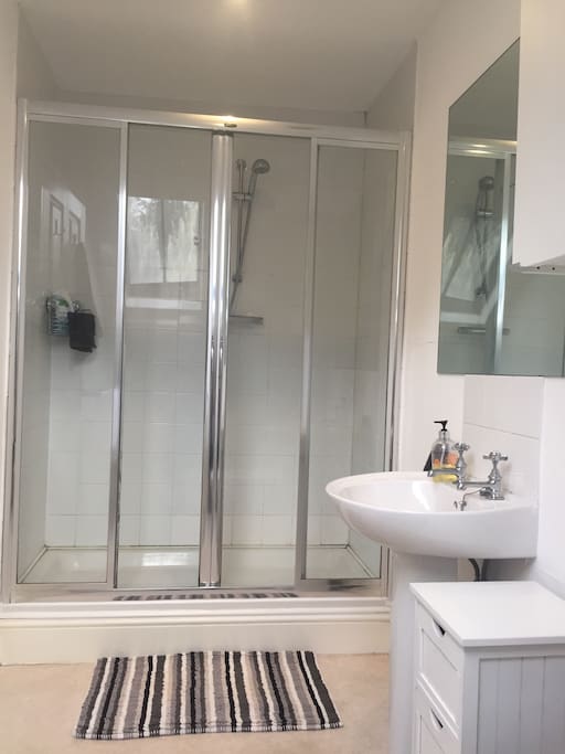 Bathroom with large shower