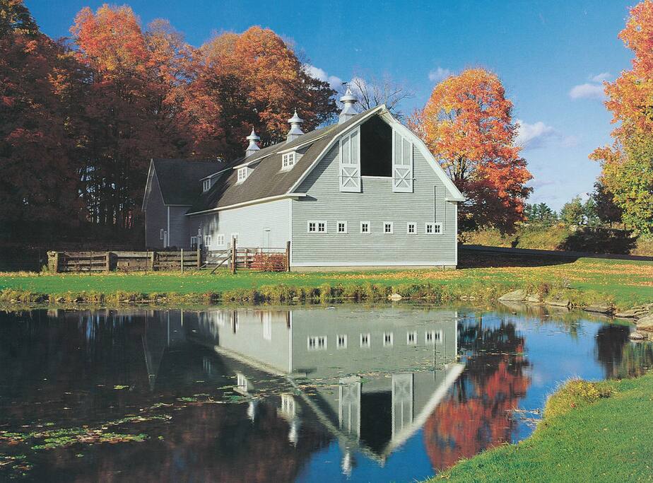 Our barn and pond on the property