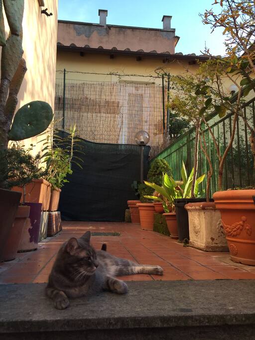 The terrace