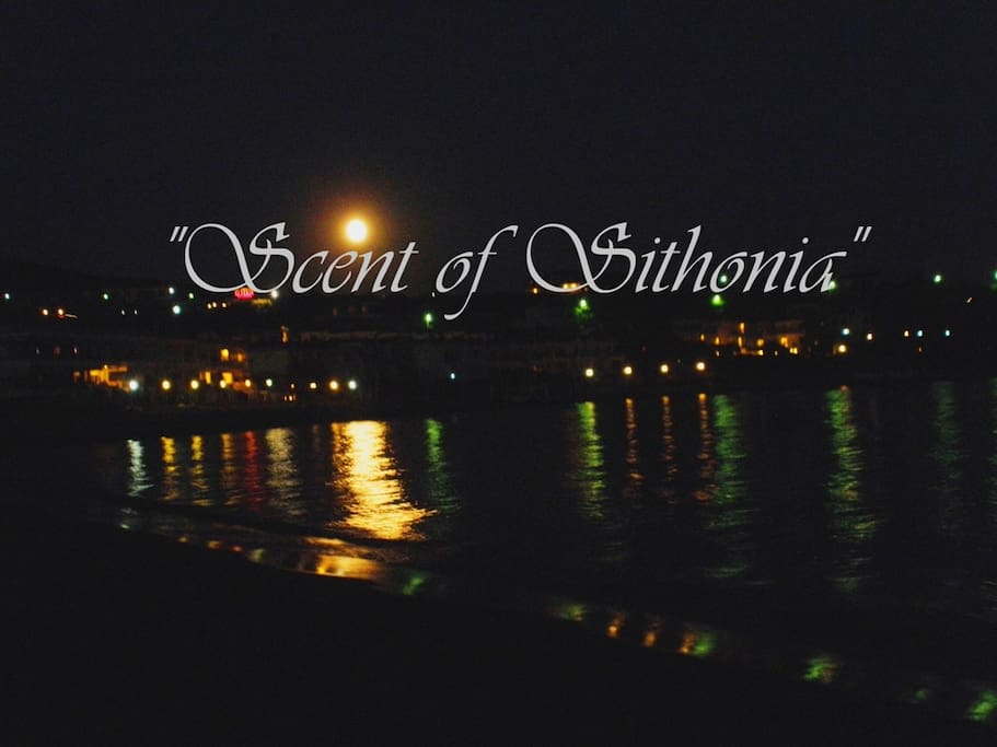 Η παραλία με φεγγαρόφωτο - The beach in the moonlight