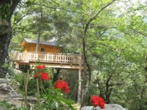 TREEHOUSES