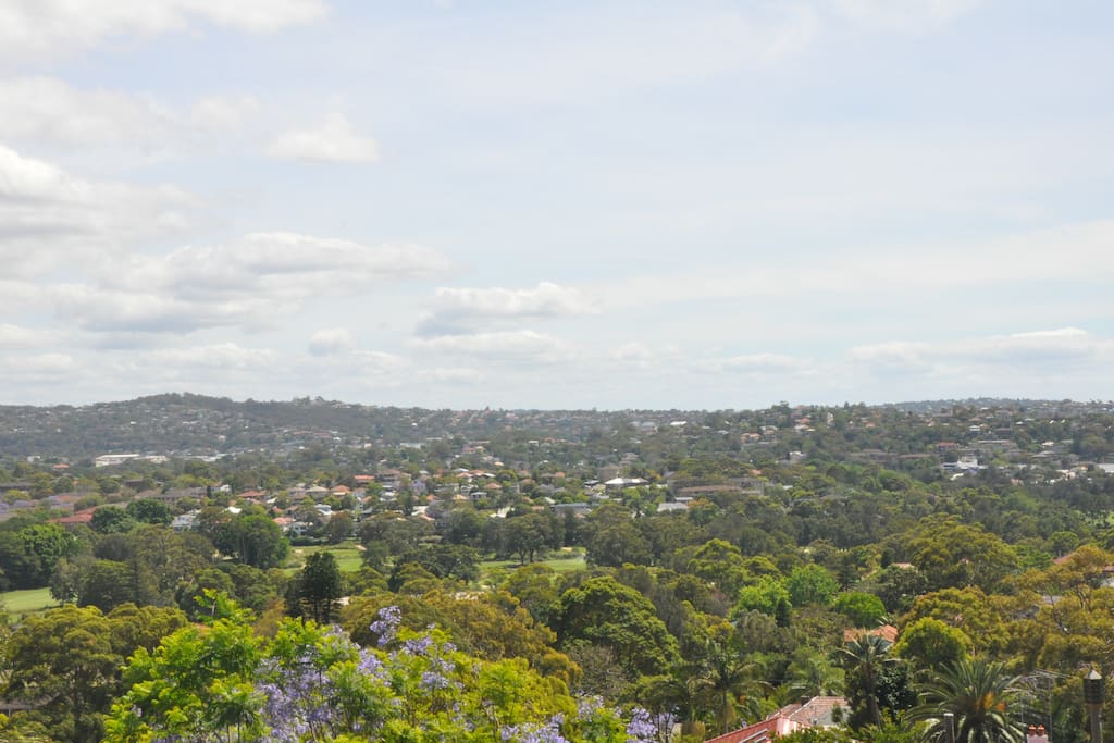 District views