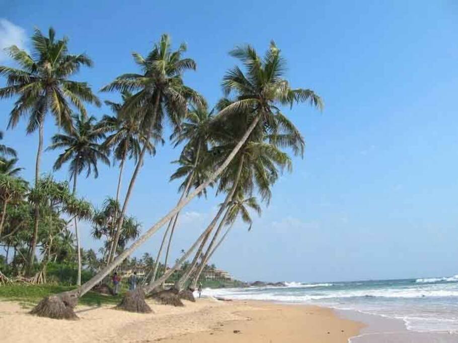 beach in the area
