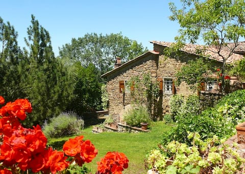Top Airbnb: Selvabella in Chianti B&B Il Riccio in Greve In Chianti