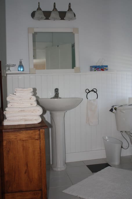 Ensuite shower room