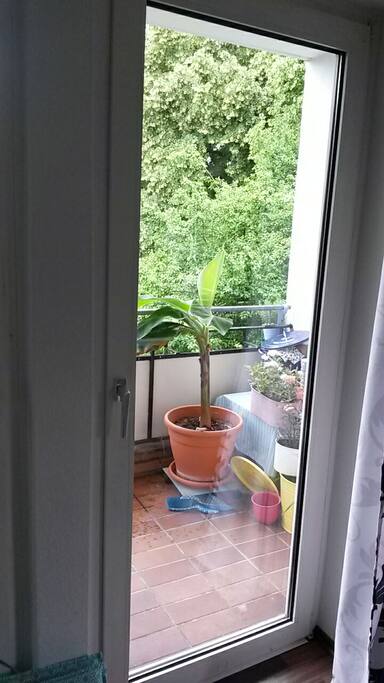 Der Südbalkon