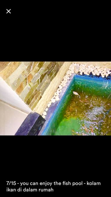 You can enjoy the fish pool- kolam ikan dalam rumah