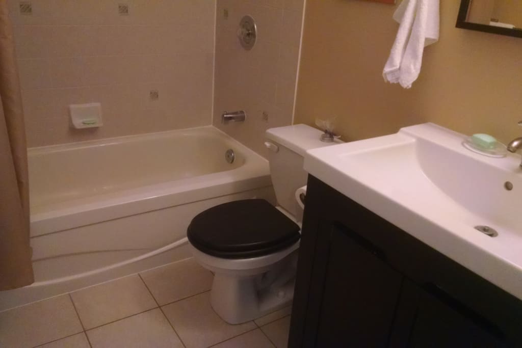 A clean washroom with a sink, shower and toilet. A clothes washing machine and dryer is also nearby. Shared with the other room.
