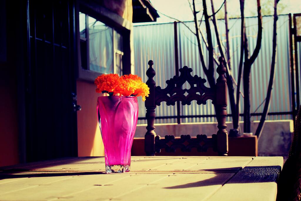 Flowers, vase, table, patio, sunlight