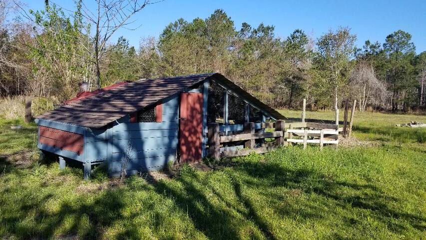 Golden Isles Hunting Lodge