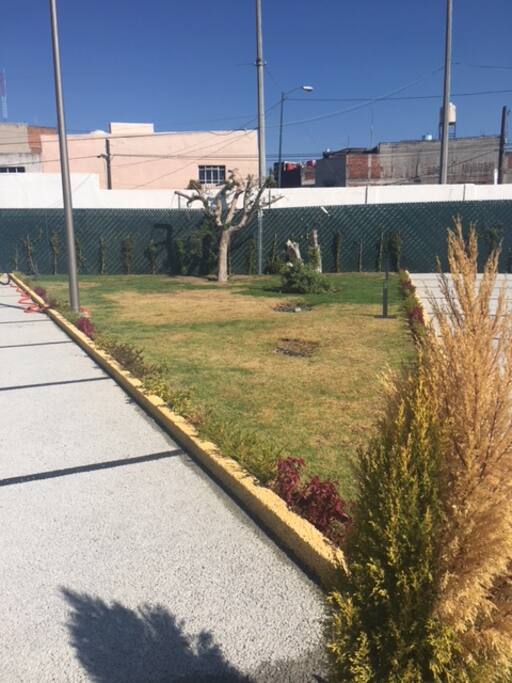 Areas verdes y Terraza