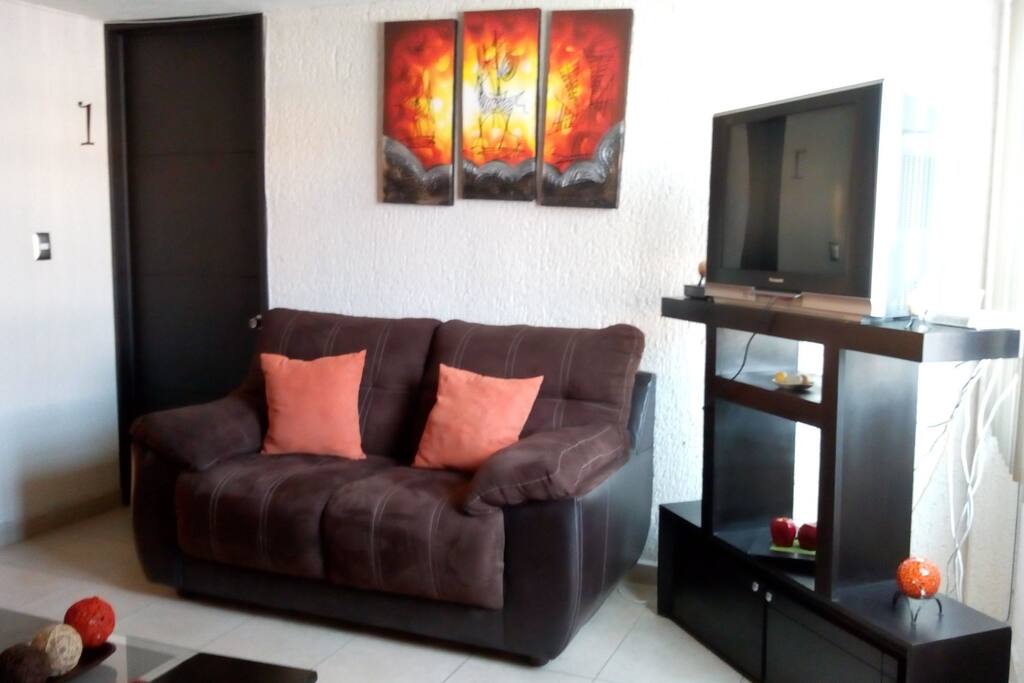 Televisión en área de sala, cuenta con servicio de cable e internet