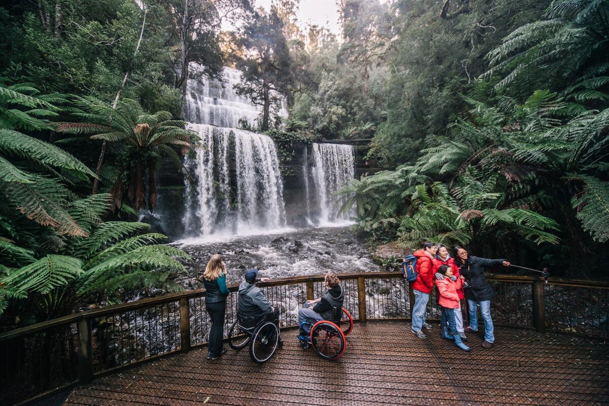 Two beautiful waterfalls cascade down rocky tiers, surrounded by lush green ferns and trees. A wooden viewing platform provides access for visitors, including individuals in wheelchairs, who enjoy the serene landscape and shared moments with companions.