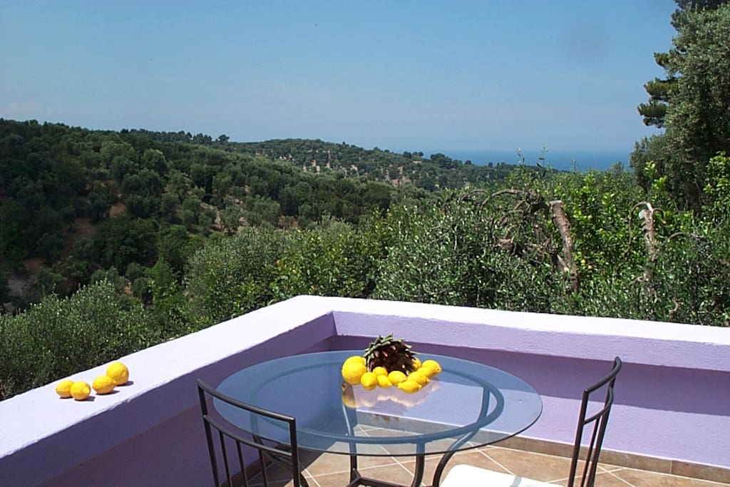 terrace