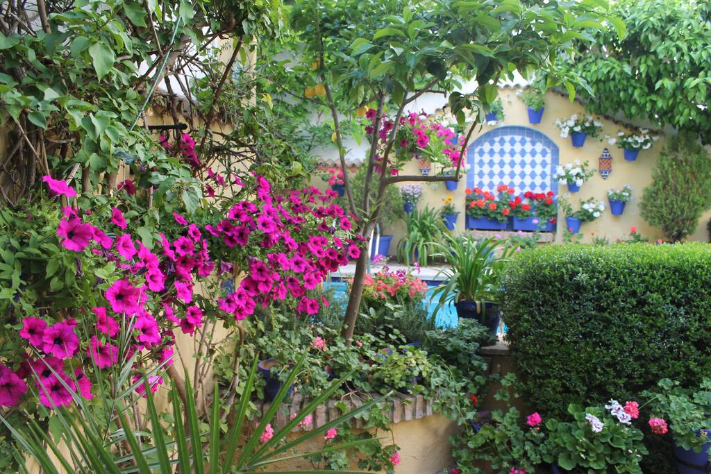 Patio de concurso