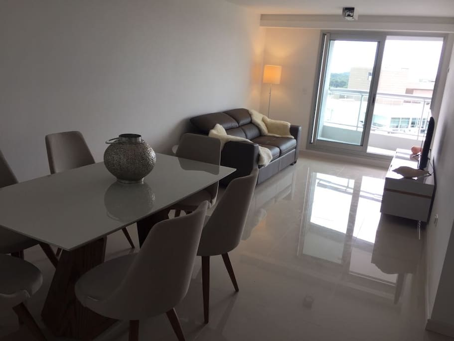 Living Comedor (Salida al balcón)