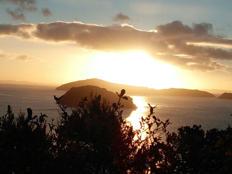 Coromandel Town BayView Experience Houses for Rent in Coromandel