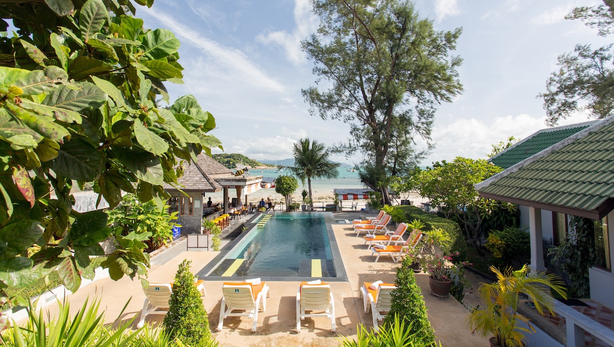 An outdoor swimming pool is framed by lush greenery and lounge chairs, providing views of the beach. The clear water reflects the sky, while palm trees and other tropical plants enhance the natural setting. The inviting atmosphere blends leisure and nature seamlessly.