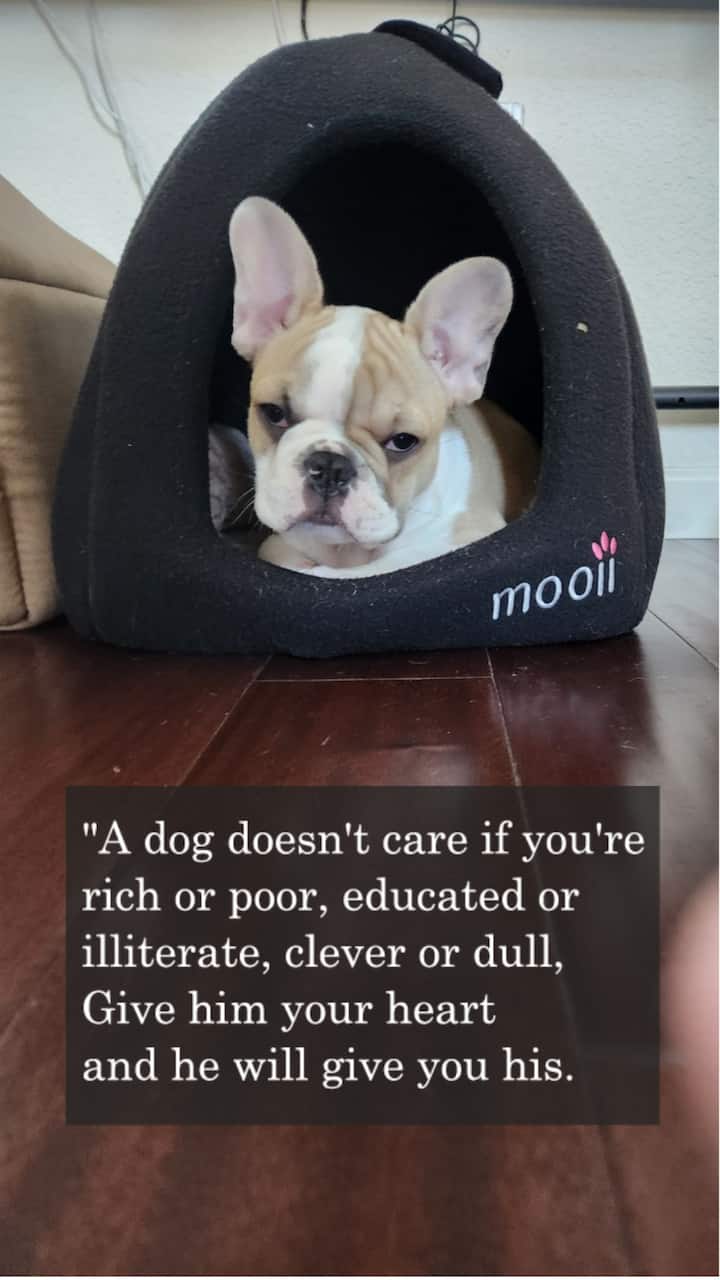 Vacation-Sanctuary / Gateway to Napa 