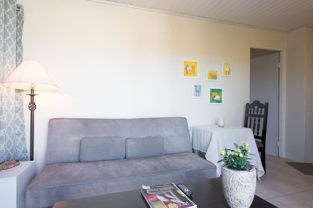 Sofa in the living area.