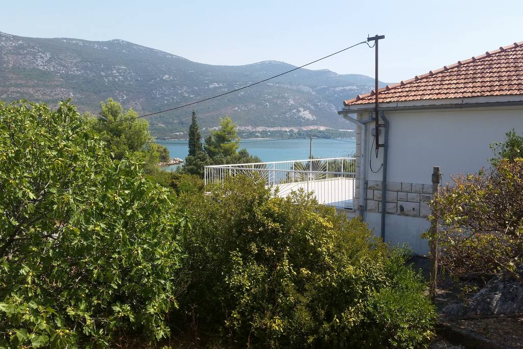 The sea view
