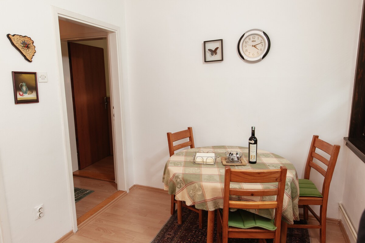 SCC Grbavica Central Apartments