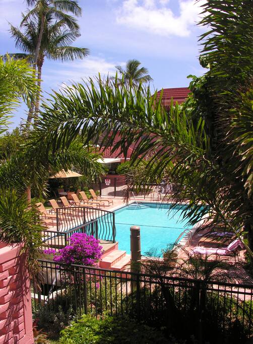 Beautiful Pool Area