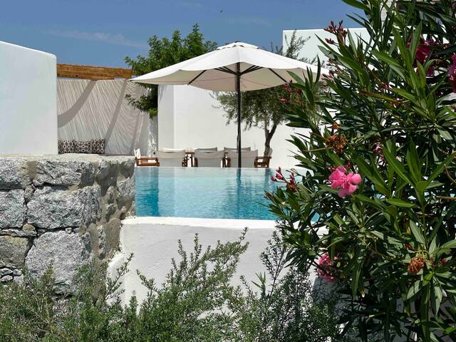 Alio (2suites) with one private swimming pool gallery image 3