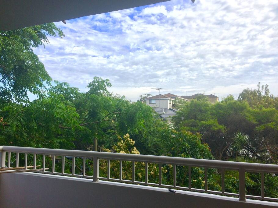 Room To Rent Randwick Sydney Room To Rent Randwick Sydney