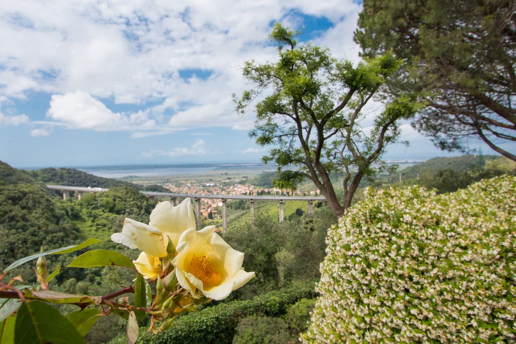 Casa Gelsomino - the view