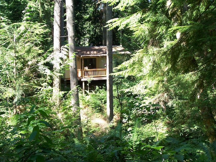 McChord Air Force Base, Joint Base LewisMcChord Cabin holiday & rentals Joint