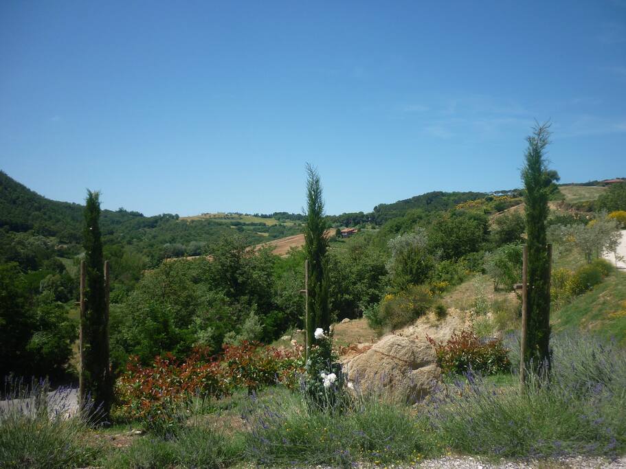 Fiordaliso vista