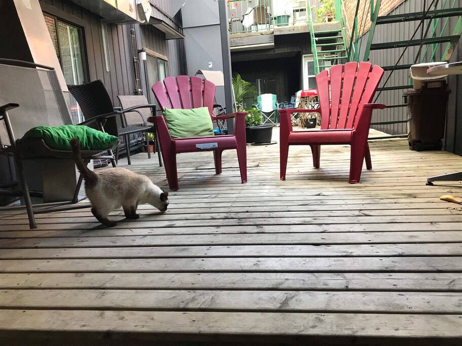 Terrasse