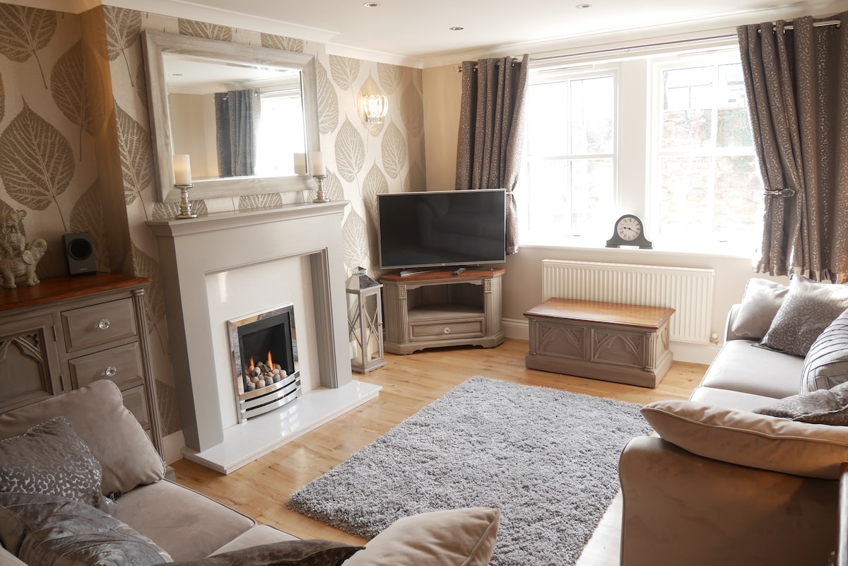 The modern lounge features a warm-toned fireplace, a large television, and comfortable seating arranged around a plush area rug. Natural light fills the room through two large windows, with elegant curtains framing each window. A decorative mirror enhances the space's depth and light.