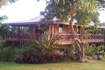 Treetop Cottage with 360° Balcony!